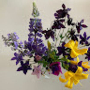 Meet your Posher, Sofia rose